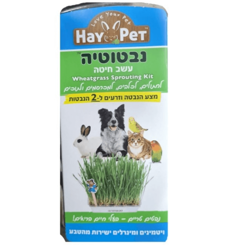 בטוטיה הערכה הגדולה לדשא חיטה לחתולים ולכלבים