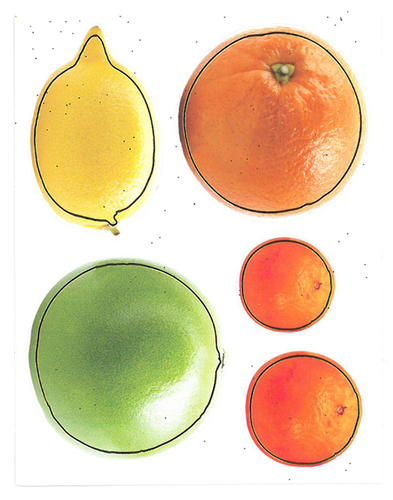 חיתוכים פירות הדר קטנים עם מסגרת זהב