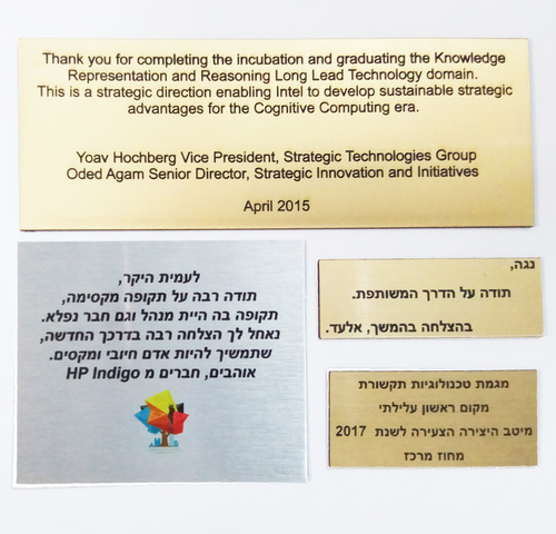פרה נאווה- דוד גרשטיין COW	