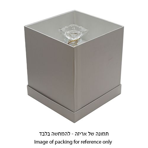 קנדלברה פמוטי קריסטל מרשימים 5 קנים