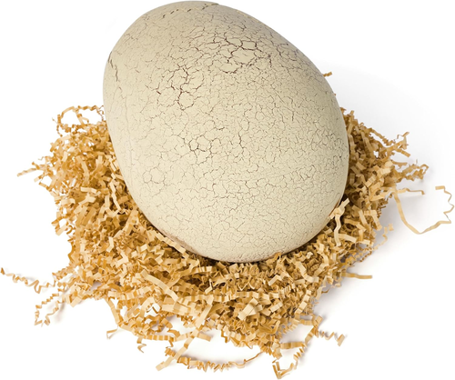 דינוזאור אינטראקטיבי וביצה לבקיעה Primal Hatch עם למעלה מ 100 צלילים ותגובות