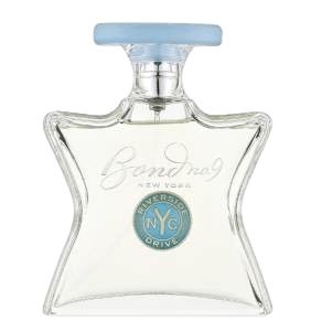 בושם טסטר יוניסקס 100 מ"ל | BOND No.9 Riverside Drive | או דה פרפיום E.D.P