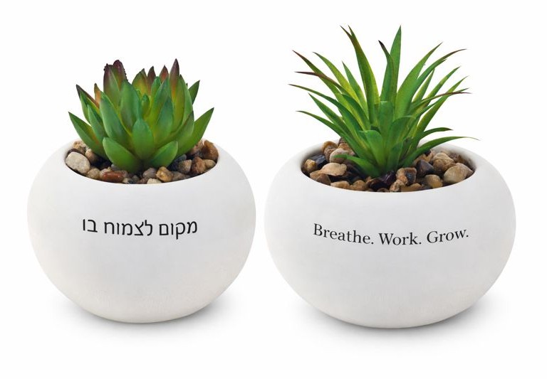 עציץ מלאכותי בכלי קרמיקה