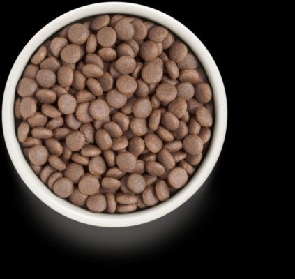 גרנדורף דגים לבנים ואורז מזון הוליסטי והיפואלרגני לכלבים בוגרים מכל הגזעים 10 ק