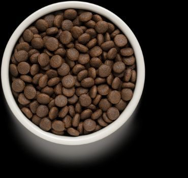 גרנדורף ארנבת ובטטה מזון הוליסטי והיפואלרגני ללא דגנים לכלבים בוגרים מכל הגזעים 3 ק