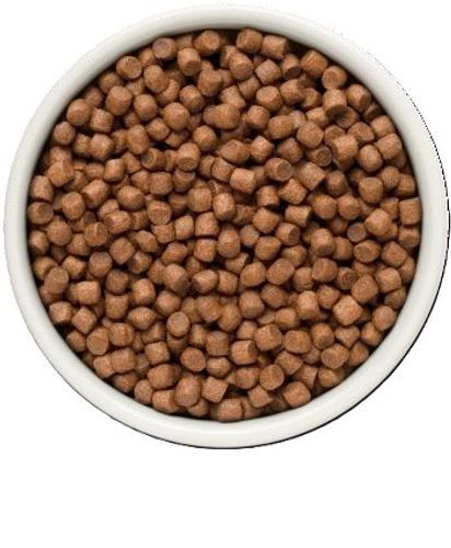  גרנדורף פרש כבש ובטטה מיני מזון הוליסטי והיפואלרגני ללא דגנים עם פרוביוטיקה חיה לכלבים בוגרים 3 ק