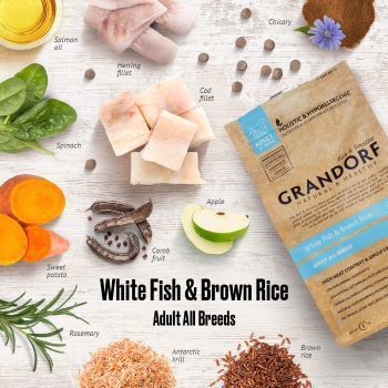 גרנדורף דגים לבנים ואורז מזון הוליסטי והיפואלרגני לכלבים בוגרים מכל הגזעים 10 ק