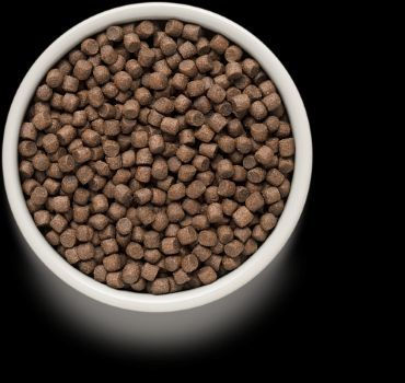 גרנדורף 4 סוגי בשר מזון הוליסטי והיפואלרגני לכלבים בוגרים מגזע קטן 3 ק