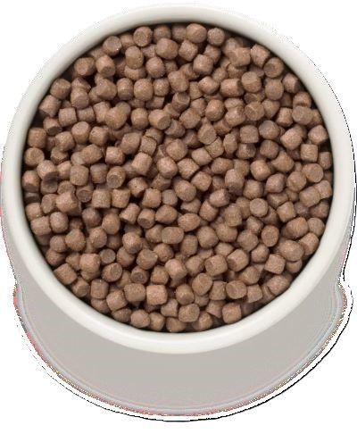 גרנדורף מיני דגים לבנים ואורז מזון הוליסטי והיפואלרגני לכלבים בוגרים מגזע קטן 3 ק