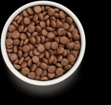 גרנדורף ברווז ובטטה מזון הוליסטי והיפואלרגני ללא דגנים לכלבים בוגרים מכל הגזעים 3 ק