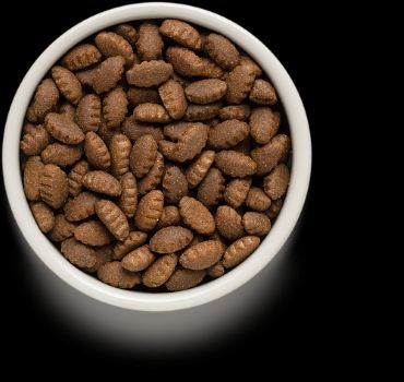 גרנדורף כבש עם הודו מזון הוליסטי והיפואלרגני לכלבים בוגרים מגזע גדול 10 ק