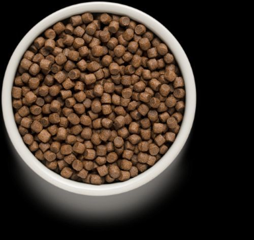 גרנדורף הודו ואורז חום מזון הוליסטי והיפואלרגני לכלבים בוגרים מגזע קטן 3 ק