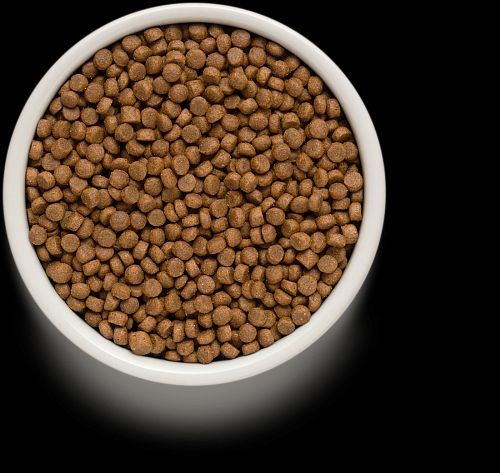 גרנדורף כבש מזון הוליסטי והיפואלרגני לגורי כלבים, כלבות בהריון ומניקות מכל הגזעים 3 ק