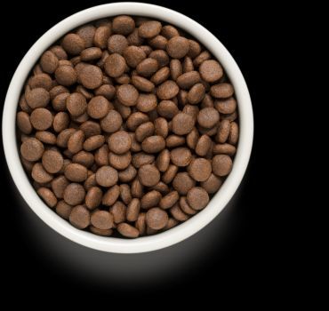 גרנדורף גוניור כבש מזון הוליסטי והיפואלרגני לגורים מגיל 4 חודשים, כלבות בהריון ומניקות מכל הגזעים 10 ק