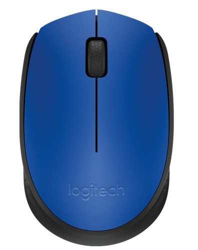 עכבר אלחוטי Logitech M171