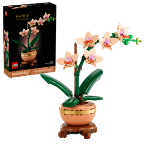 לגו Botanicals – סחלב קטן (10343) LEGO