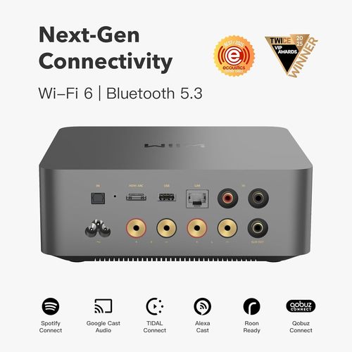 WiiM Amp Ultra back