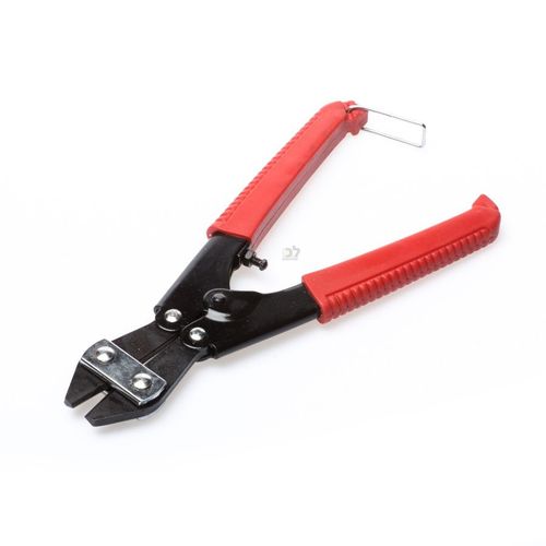 תוכי חותך ברזל 