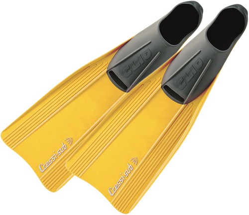 סנפיר CLIO