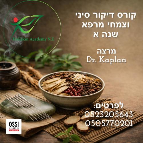 קורס דיקור סיני וצמחי מרפא שנה א 