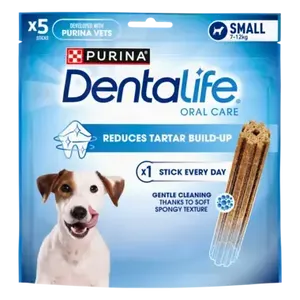 דנטלייף סמול