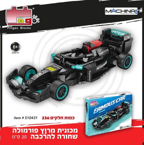 מכונית מירוץ פורמולה שחורה להרכבה 20 ס