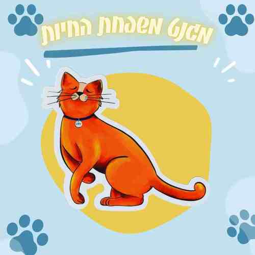 מגנט חתול כתום בעיצוב איורי על רקע לבן