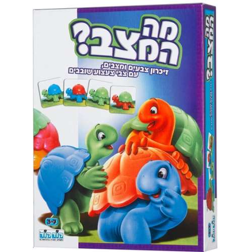 מה המצב מבית קודקוד