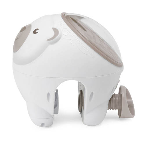 מקרן צ'יקו דב קוטב – Chicco Polar Bear Projector