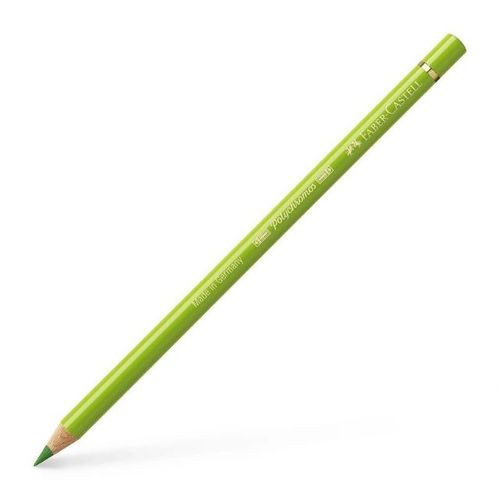 עפרון גוון 170 Polychromos may green