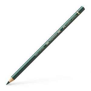 עפרון גוון 165 Polychromos juniper green