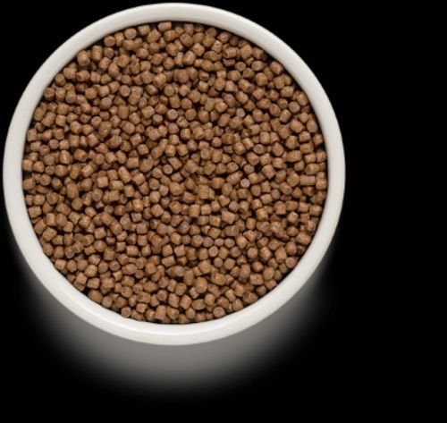 גרנדורף כבש ואורז מזון הוליסטי והיפואלרגני לגורי חתולים משלושה שבועות, חתולות בהריון ומניקות 8 ק