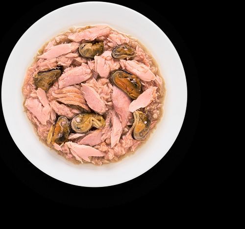 גרנדורף מעדן פילה טונה ומולים לחתולים בוגרים  GRANDORF