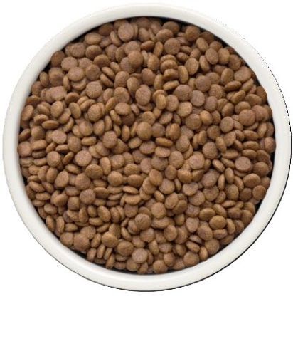 גרנדורף פרש ברווז ובטטה מזון הוליסטי והיפואלרגני ללא דגנים עם פרוביוטיקה חיה לחתולים מעוקרים ומסורסים בוגרים 2 ק