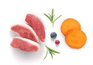 גרנדורף פרש ברווז ובטטה מזון הוליסטי והיפואלרגני ללא דגנים עם פרוביוטיקה חיה לחתולים מעוקרים ומסורסים בוגרים 2 ק