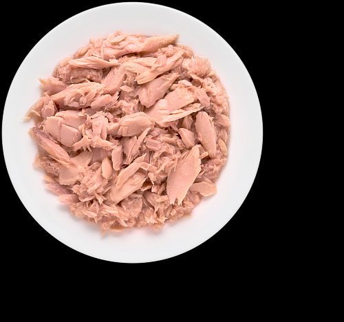 גרנדורף מעדן פילה טונה לחתולים בוגרים  GRANDORF