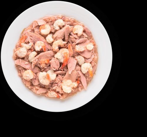 גרנדורף מעדן פילה טונה ושרימפס לחתולים בוגרים  GRANDORF