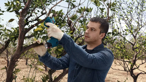מזמרה מקצועית נטענת ללא פחמים 12V + זוג סוללות 3AH ומטען PRO PRUNER