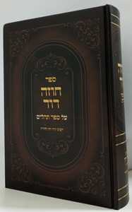 חוזה דוד