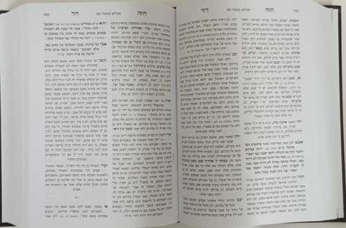 חוזה דוד