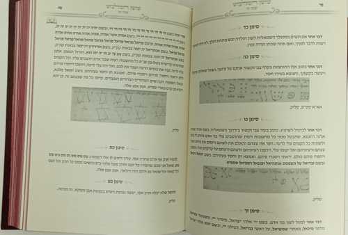 שושן המלבוש