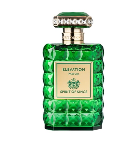 בושם יוניסקס Spirit Of Kings Elevation  Parfum  100 ml