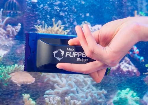 פליפר אד'ג מקס 10 להבים להחלפה לאקווריום אקרילי