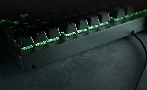 מקלדת גיימינג מכאנית Razer Blackwidow V3 Tenkeyless