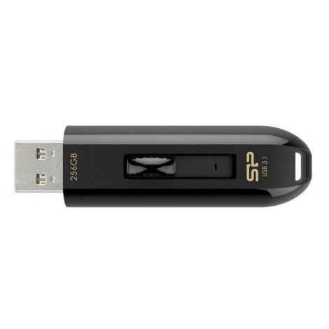 BLAZE B21 3.2 USB 256GB