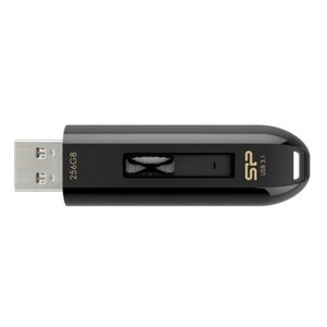 BLAZE B21 3.2 USB 256GB