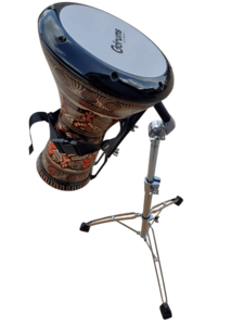 סטנד דרבוקה / דג