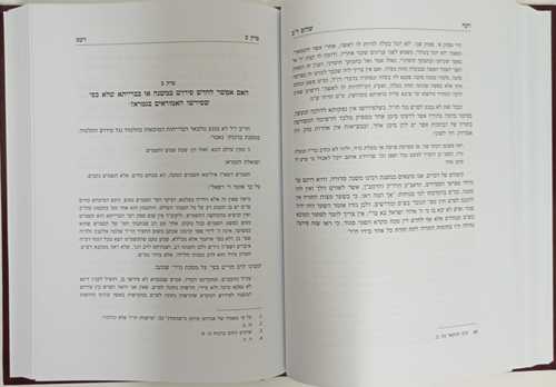 רקח מרקחת - שלום ר