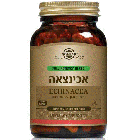 סולגר אכינצאה 330 מ"ג 100 כמוסות Solgar