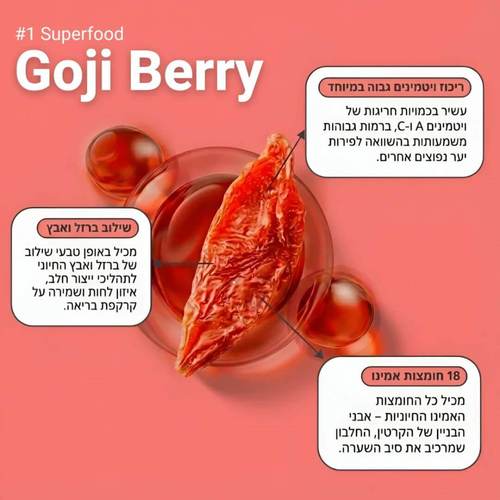 סט שמפו לשיער מוחלק ללא מלחים 500 מ